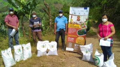 El proyecto Progresa apoyó a 1,432 familias de El Paraíso con la donación de 25 libras de semilla mejorada de frijol.