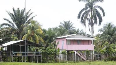 La comunidad de Crique Las Marías, en Tela, Atlántida, es testigo de una guerra entre narcotraficantes.