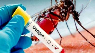 Honduras rebasa los 10,000 casos de dengue en 2021. Al menos cuatro personas han muerto por esa enfermedad durante 2021 en el país.
