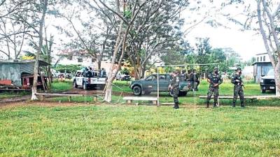 La Policía incautó un camión cargado de palma que fue hurtado de una finca invadida.