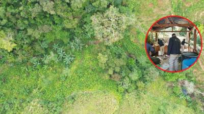 Autoridades hondureñas indagan la zona a diario en búsqueda de narcolaboratorios y plantaciones.
