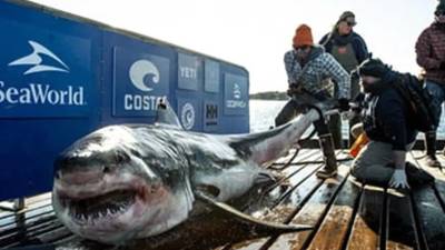 Imagen de referencia.