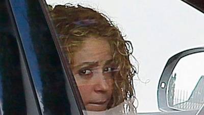 La cantante Shakira.