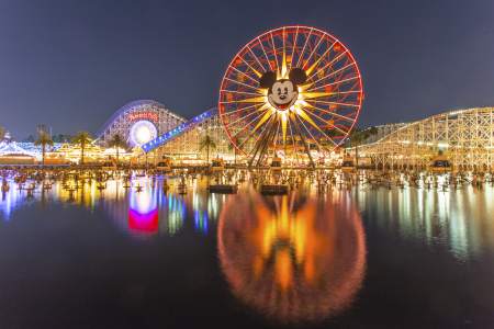 PARQUES TEMÁTICOS. Son la mayor atracción de Orlando. El complejo de Walt Disney World Resort es el principal. También se pueden encontrar los parques de Universal Studios y el parque dedicado a la vida marina Sea World.