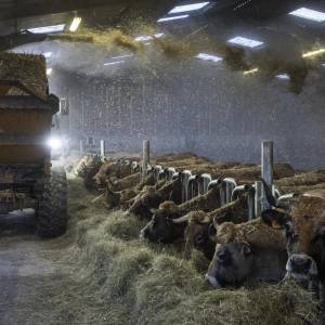 Agricultores franceses mantienen su lucha por sobrevivir