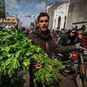 Civiles hambrientos en Gaza se alimentan con hierbas