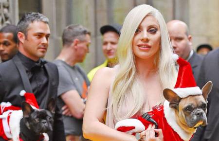La cantante Lady Gaga junto a sus perros.
