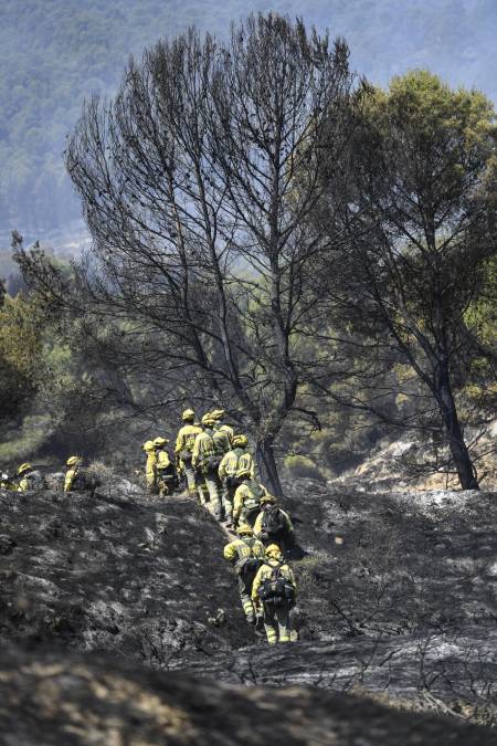 En Portugal, el último informe del Instituto de Conservación de la Naturaleza y los Bosques (ICNF, en sus siglas en portugués) detalla que este 2022, hasta el 31 de julio, los incendios han calcinado 58.354 hectáreas de masa forestal, un área un 59 % mayor que la media anual de los diez años anteriores.