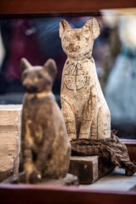 Para los antiguos egipcios los gatos y los escarabajos eran sagrados, estos últimos considerados un amuleto de vida y de poder que traía suerte.