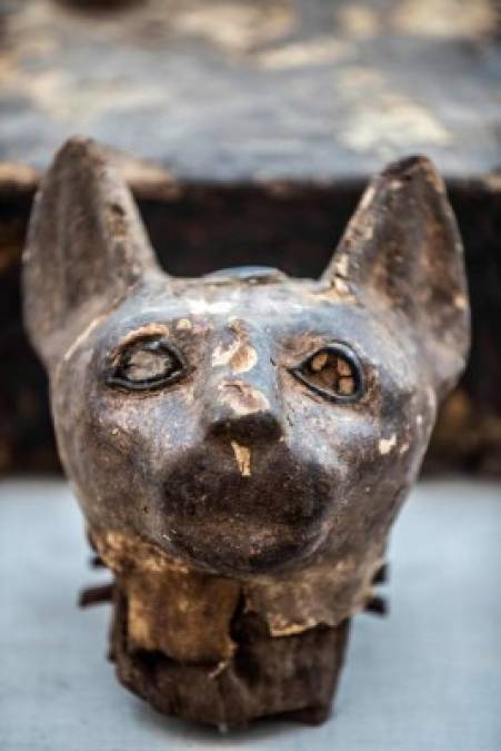 El ministerio de Antigüedades anunció que el hallazgo tuvo lugar al pie del Templo Bastet, dedicado al culto de los gatos entre los antiguos egipcios, en la vasta necrópolis.