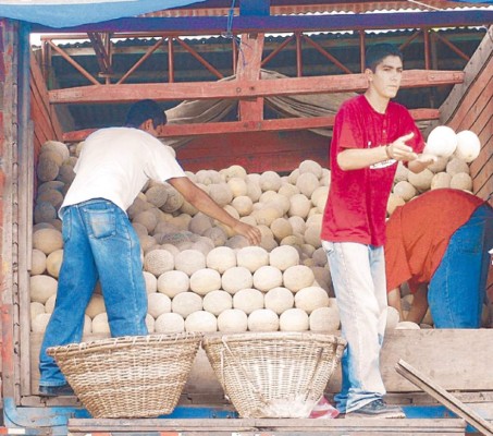 Investigan si existe salmonela en melones