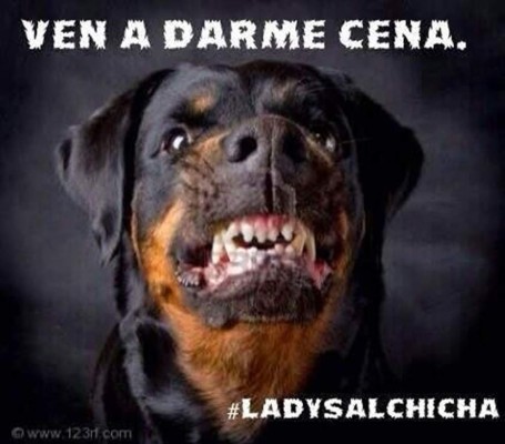 Mujer que aconsejó cómo matar perros y gatos enfurece las redes