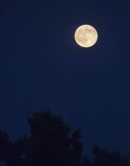 Luna azul o llena en Washington, Estados Unidos. Foto: AFP
