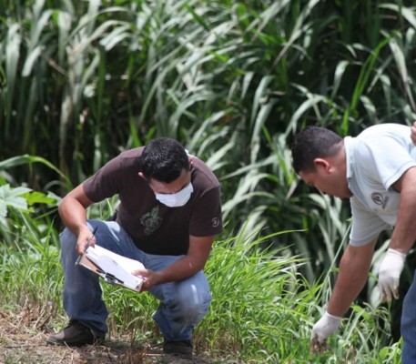 Ultimada a balazos hallan a una mujer en el norte de Honduras