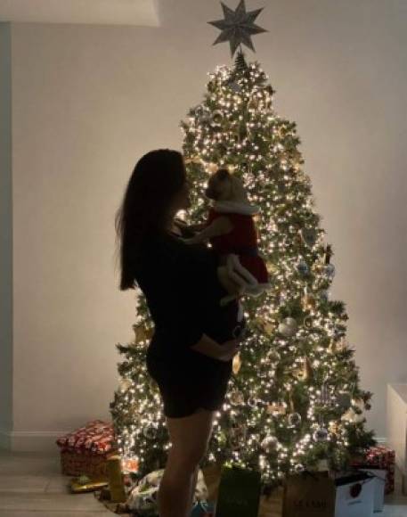 Carmen Boquin mostró su pancita de embarazada mientras posaba junto a su hija perruna Moca. La presentadora radicada en EEUU espera a su primer hijo con Vicente Fiumara para febrero del 2020.