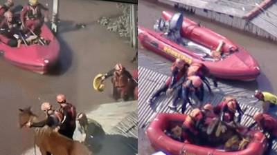 El caballo fue rescatado por los equipos de socorro de la localidad de Cruzeiro do Sul.