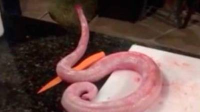 El video ha generado gran impacto en las redes sociales pues desde su publicación en YouTube.