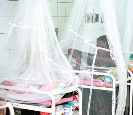 Olancho y Copán con más casos de chikungunya