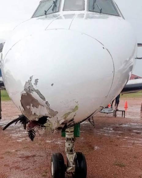 Así quedó el avión tras el impacto del ave de rapiña.