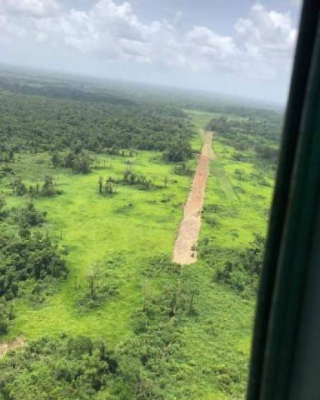 Las avionetas estaban camufladas en una zona de aterrizaje clandestina.