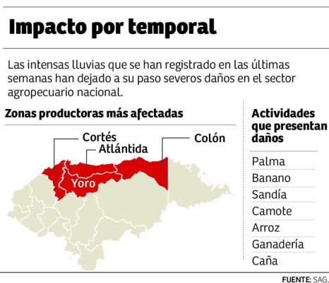 Gobierno y sector agropecuario evalúan pérdidas por lluvias