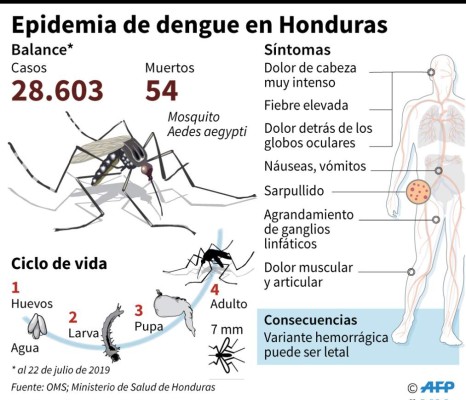 Colapsan 26 hospitales de Honduras por la peor emergencia del dengue