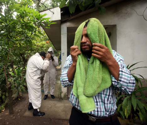Abejas africanizadas atacan a 5 personas