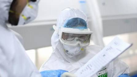 Un hospital de Hong Kong informó sobre un caso del peligroso virus B transmitido por los monos.