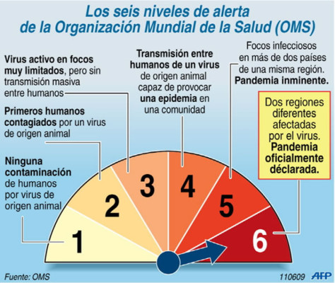Influenza A H1N1 declarada pandemia