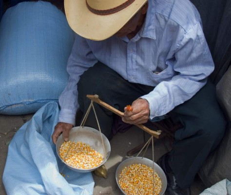 Modernizan sistema de inspección para frutas y hortalizas