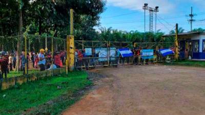 <b><span class=mln_uppercase_mln>conflicto.</span></b> Aunque se han dado algunos desalojos, son miles de fincas que continúan usurpadas.<span class=mln_uppercase_mln> </span>