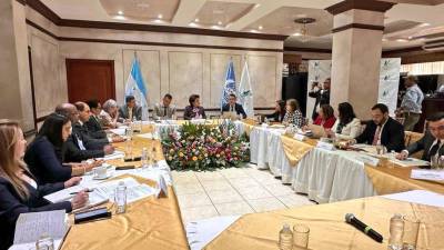 Reunión con el subcomité de Naciones Unidas para la Prevención de la Tortura y otros Tratos o Penas Crueles, Inhumanos o Degradantes en el país.