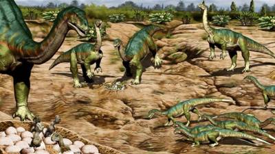 Uno de los elementos que podía arrojar luz sobre cómo vivían los primeros dinosaurios eran los huevos encontrados, dijeron los encargados del estudio.