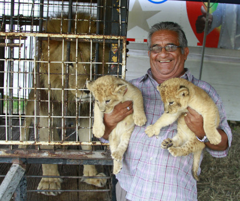 Una sala de maternidad para fieras