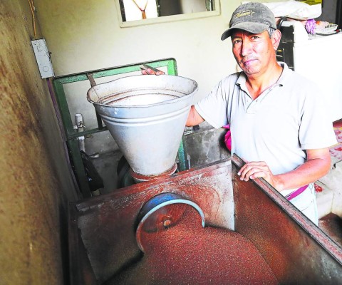 Fluctuaciones en precio de café no alteran meta de productores