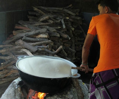 En la Barra de Chamelecón, entre la leche y los pescados