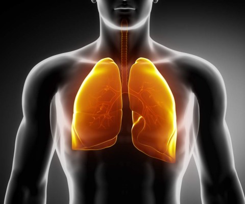 La fibra beneficia a sus pulmones