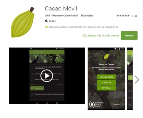 Lanzan una aplicación móvil para productores de cacao