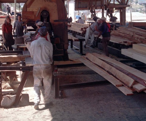 Honduras busca certificar su madera ante la UE