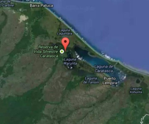 Honduras: hallan destruida y saqueada avioneta en Puerto Lempira