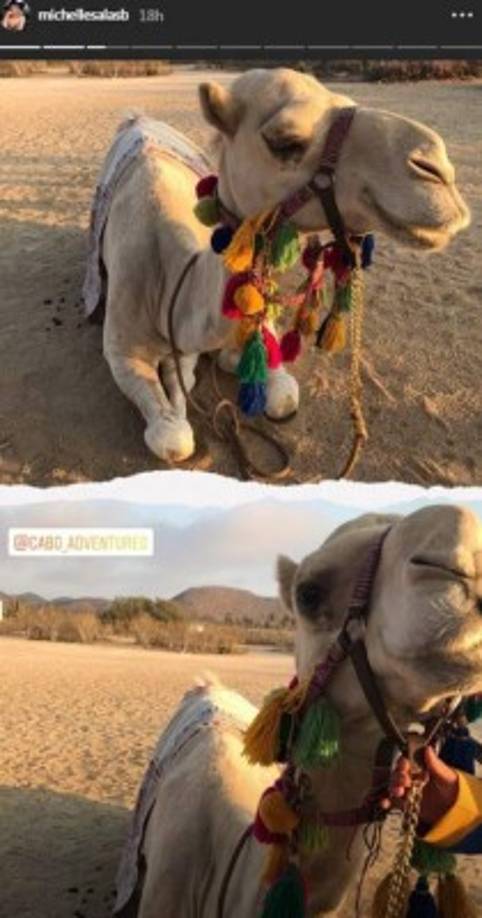 Siguiendo la temática marroquí la influencer también tuvo un paseo en camello. Ella y sus amigos hicieron una caravana que caminó por las playas del hermoso destino turístico.