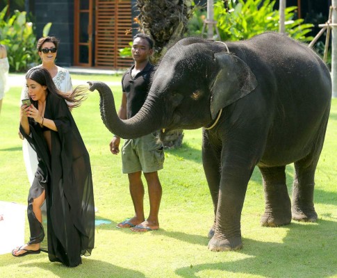 Kim Kardashian fue atacada por un elefante