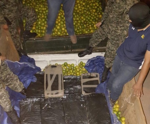 Decomisan mil libras de marihuana en camión de naranjas