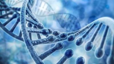 Los genes tienen relación con la baja estatura.