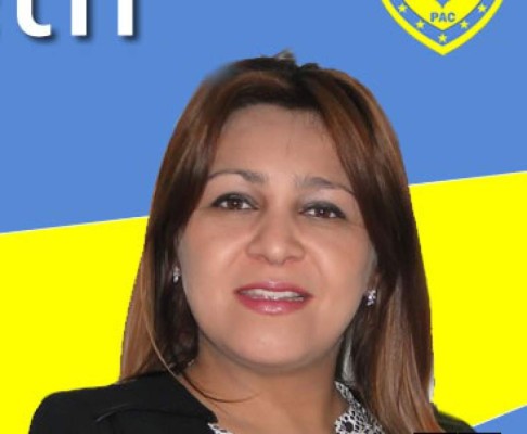 Comisión multipartidaria sugirió separar a sobornado