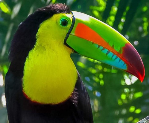 Parque Nacional Cusuco, poseedor de inimaginable belleza natural