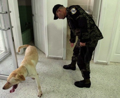 Fervor catracho en las calles por desarrollo de elecciones en Honduras