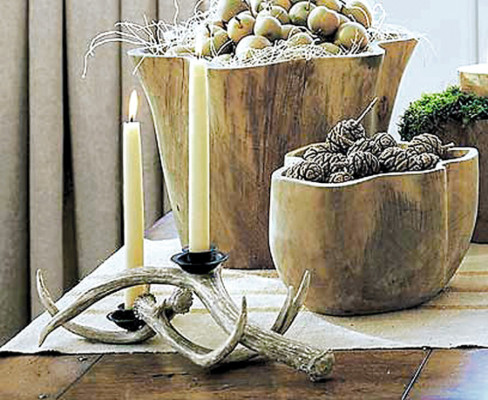 La naturaleza en casa