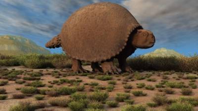 El gliptodonte se extinguió tras la última era glacial.
