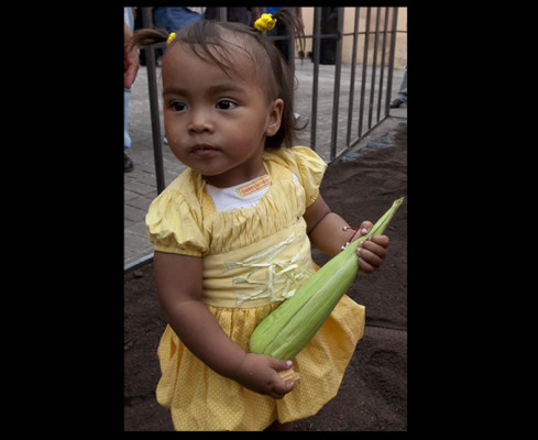 ONU: 'El 49 % de las trabajadoras agrícolas en Honduras carece de ingresos propios'